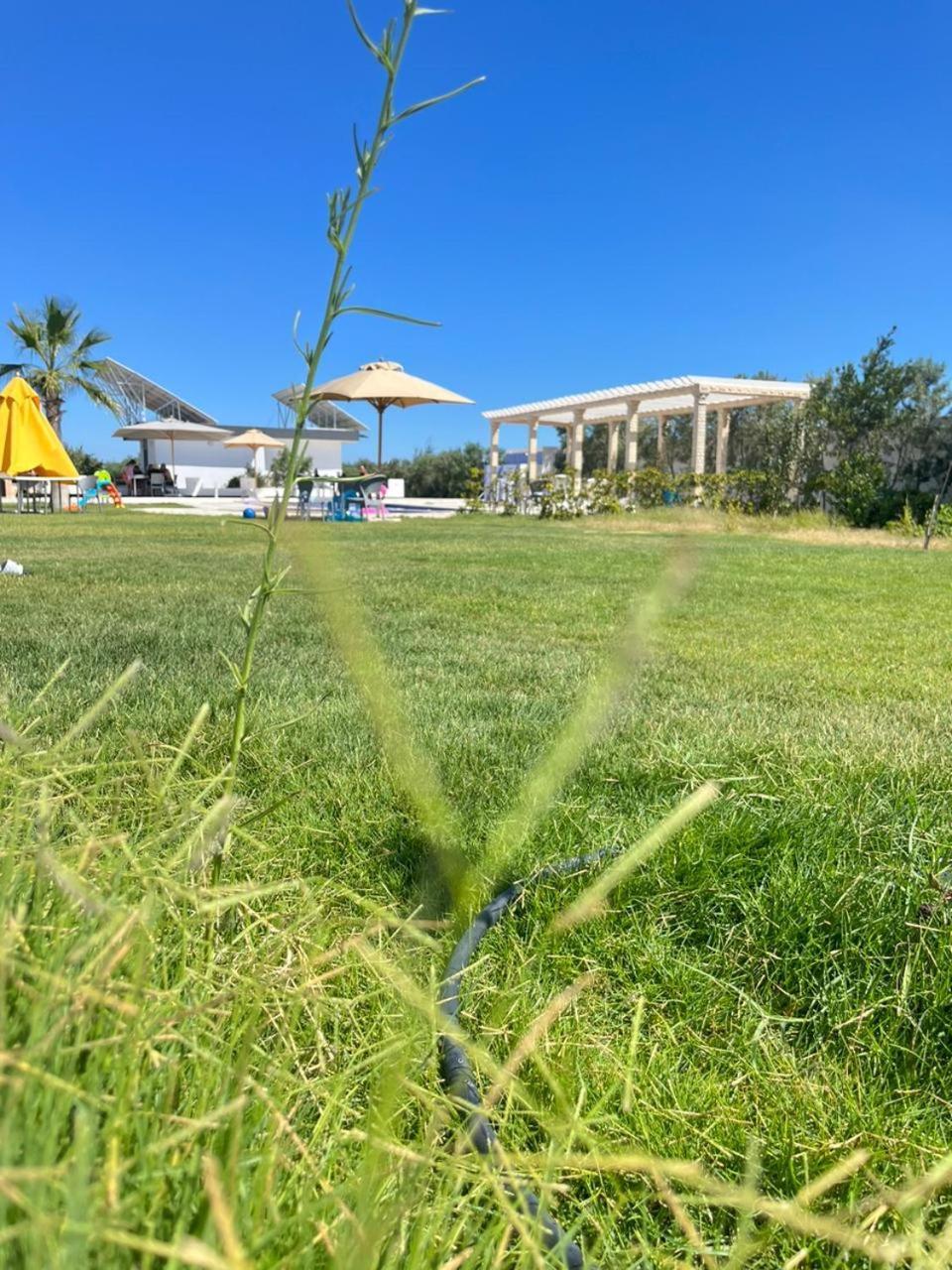 Résidence des Oliviers Yasmine Hammamet Extérieur photo
