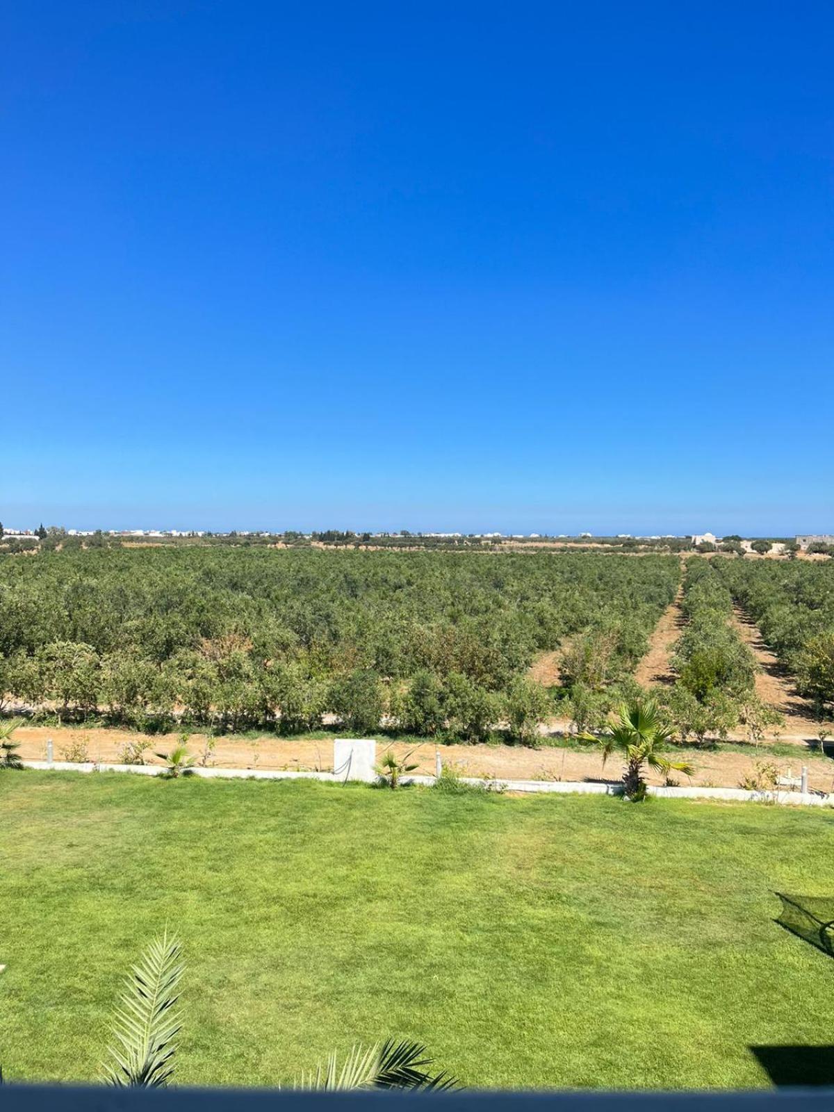 Résidence des Oliviers Yasmine Hammamet Extérieur photo